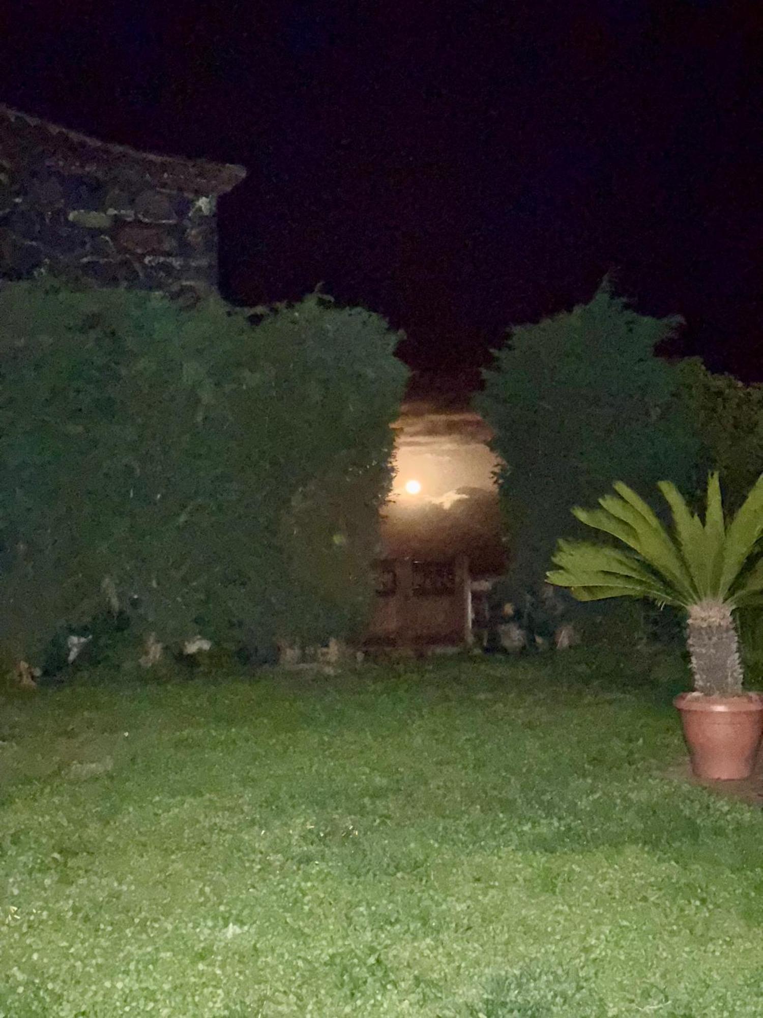 Casa Rural Quinta Los Naranjos Tigalate Екстериор снимка