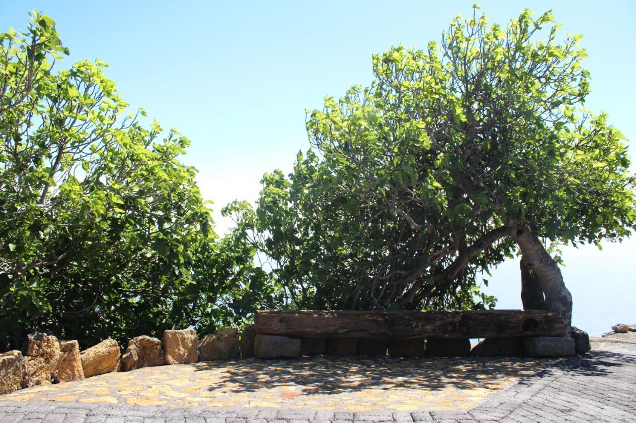 Casa Rural Quinta Los Naranjos Tigalate Екстериор снимка