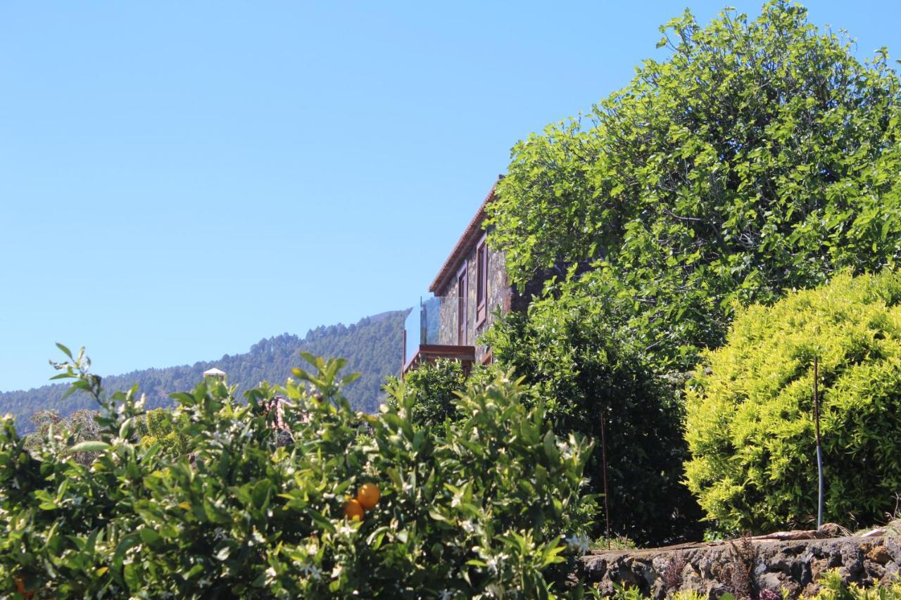 Casa Rural Quinta Los Naranjos Tigalate Екстериор снимка